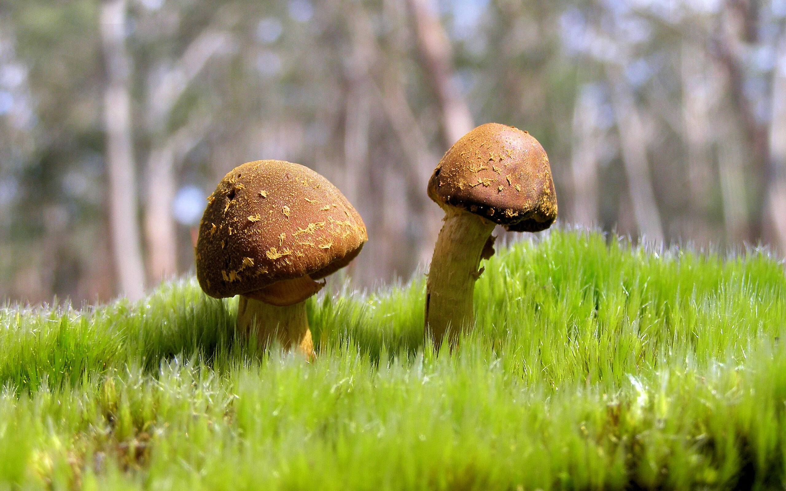 爱游戏平台-足球赛场上奋勇作战，比赛结果扭转乾坤，足球场上奋力拼搏