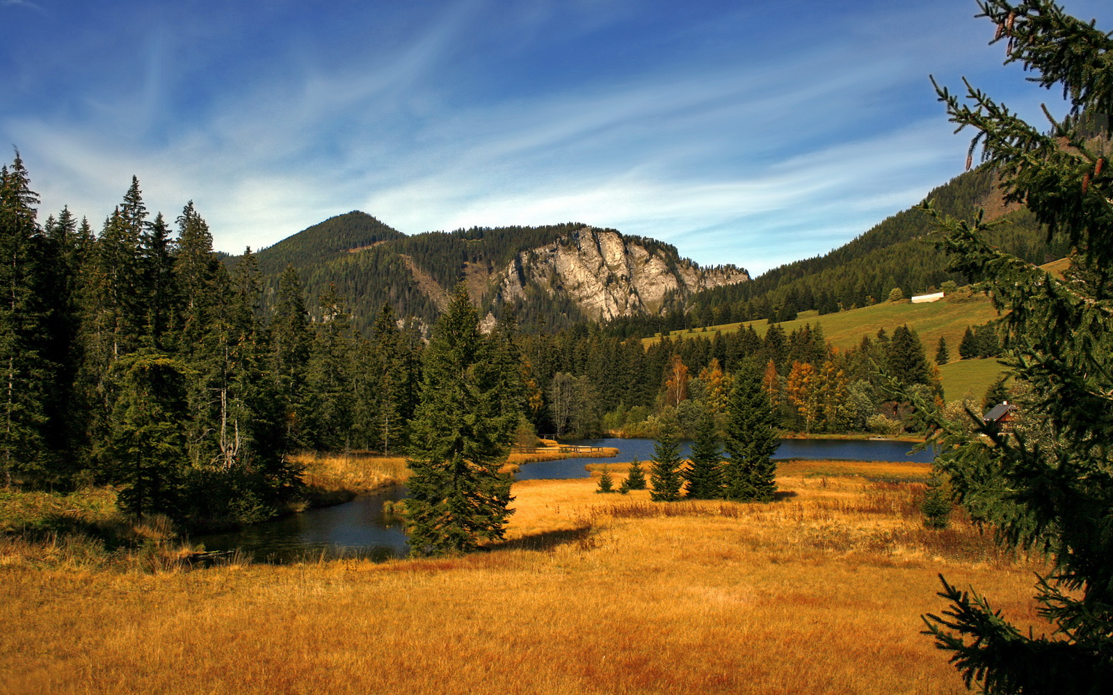 爱游戏APP-赛事裁判判罚标准细化，赛事活动裁判