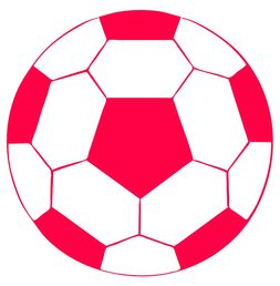 爱游戏线上-青少年体育运动安全保障机制构建,青少年体育管理体制