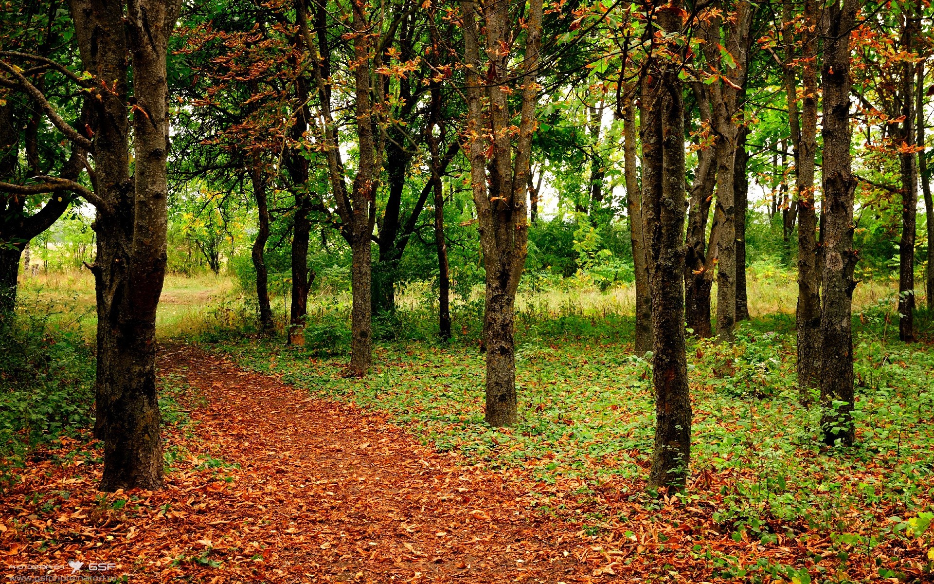 爱游戏下载-德国队备战国际乒联混合团体世界杯:赛制对战绩的影响,德国乒乓球参赛名单