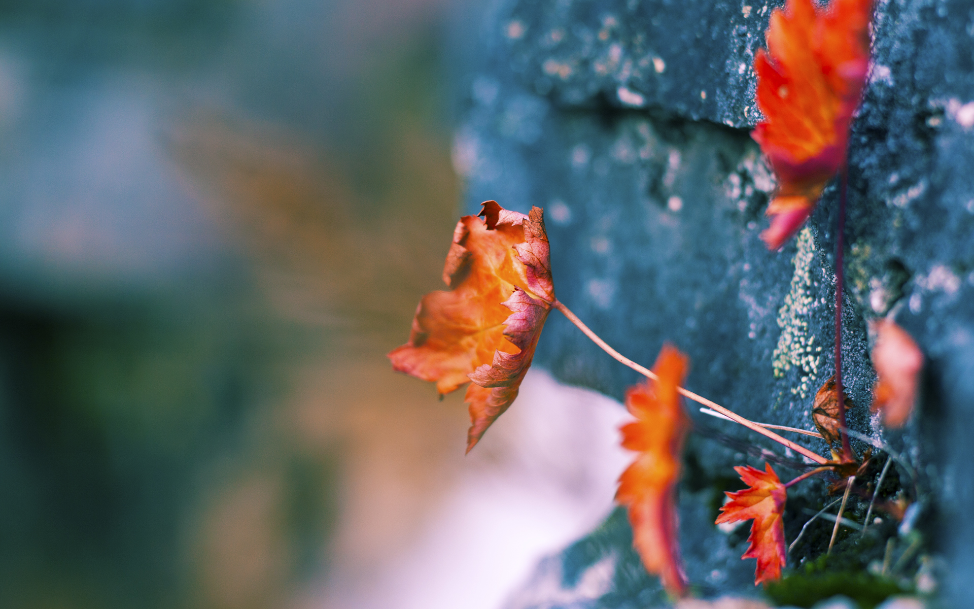 爱游戏下载-威少火力全开奇才西部格局大变，威少奇才队