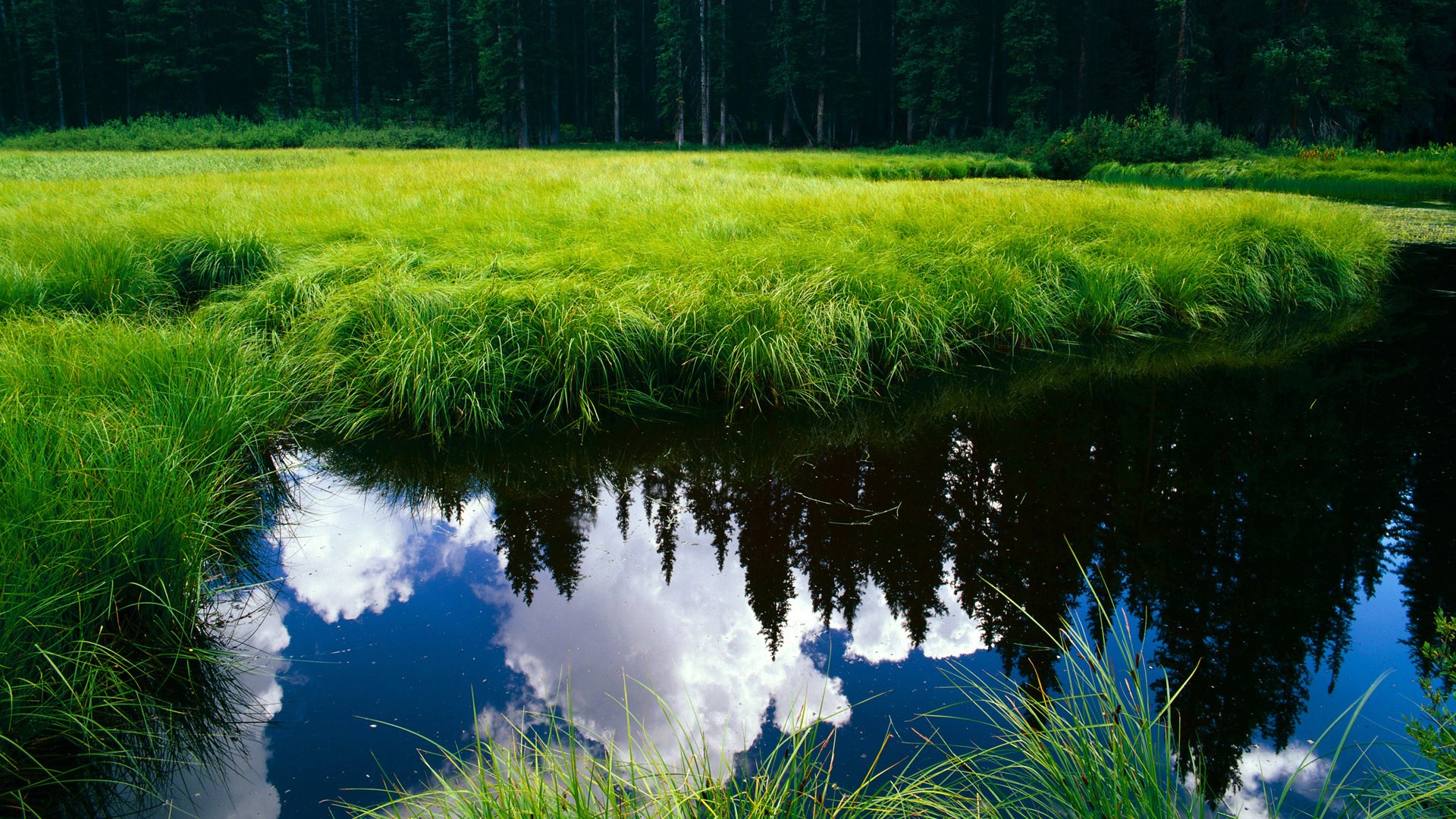 ayx sports-希腊女篮在欧洲锦标赛中再夺金，传统篮球强国继续前行，希腊女球迷