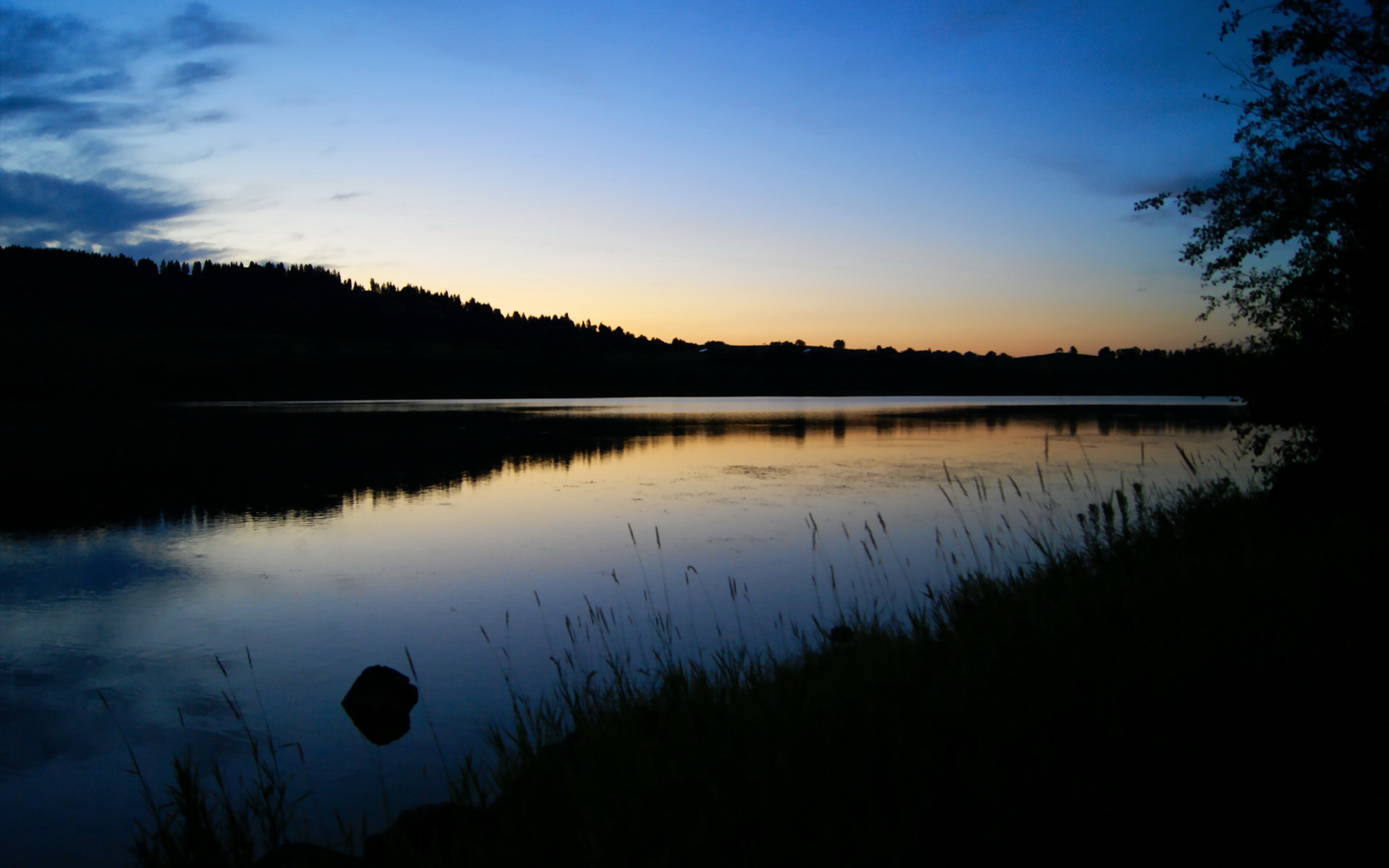 爱游戏官方网站-新西兰橄榄球赛事成为国际品牌合作的重要平台，新西兰橄榄球比赛